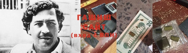 шишки Верея