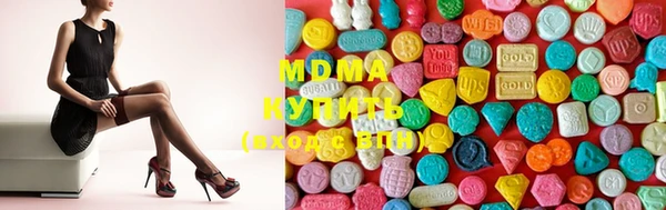 шишки Верея