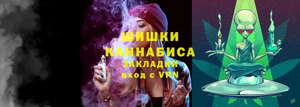 шишки Верея