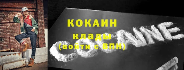 шишки Верея