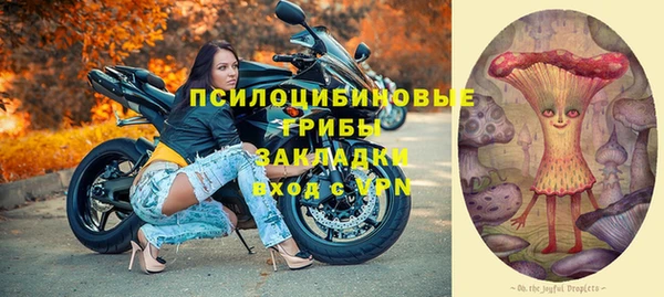 шишки Верея