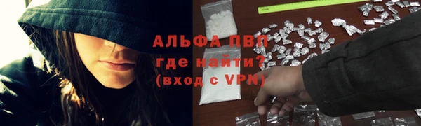 шишки Верея