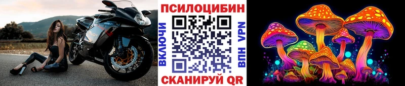 Галлюциногенные грибы ЛСД  KRAKEN зеркало  Киржач 
